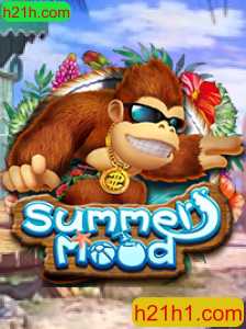 Descubra o Mundo de Diversão com SummerMood